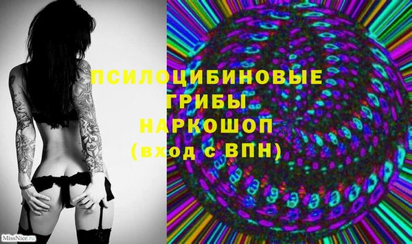 мяу мяу мука Абинск