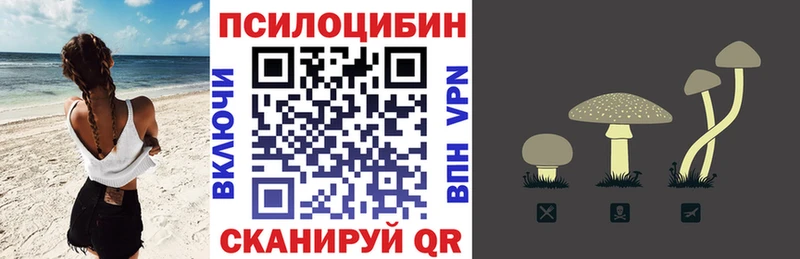 Галлюциногенные грибы мицелий  Елизаветинская 