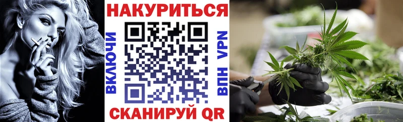 ссылка на мегу ссылки  Елизаветинская  Бошки Шишки семена  цены наркотик 